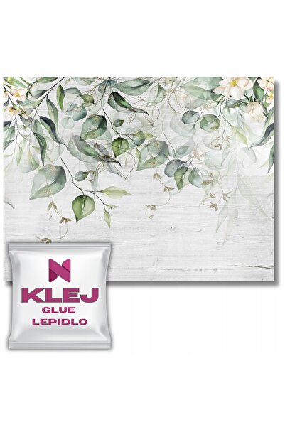 Naklejkomania Fototapet Frunze Decoratiuni Boho Tapete Moderne Pentru Living ...