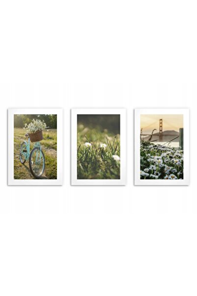 Naklejkomania Postere pentru perete in living, Flori de primavara 3x 50x70cm