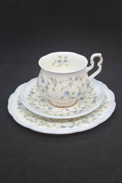 Royal Albert Caroline Bone China Vintage 3 Piece Chubby Form Blue Coffee Cup ...