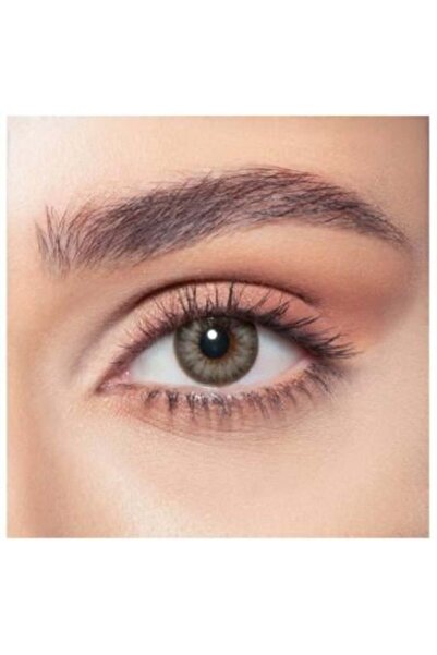 Bella Monthly colored decorative lenses from bella - almond gray