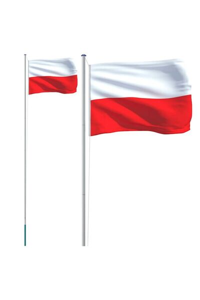vidaxl Steagul Poloniei și stâlp de aluminiu, 6,08 m