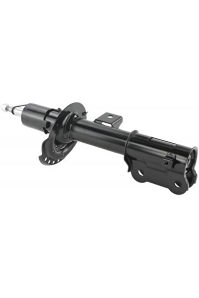 FEBEST amortizor 12110-009FR