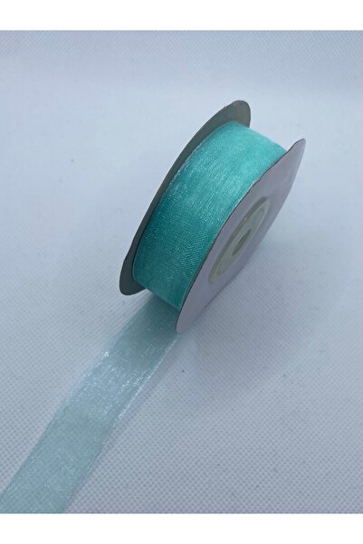 Lorin hobi Water Green 2cm 20 Meters Organza Tulle Ribbon No;3310