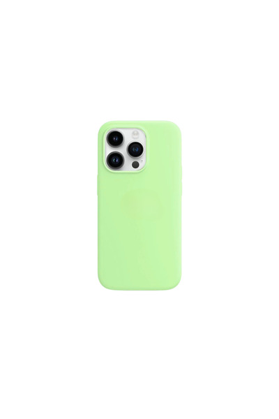 OEM Husa compatibila iPhone 12 Pro Max
