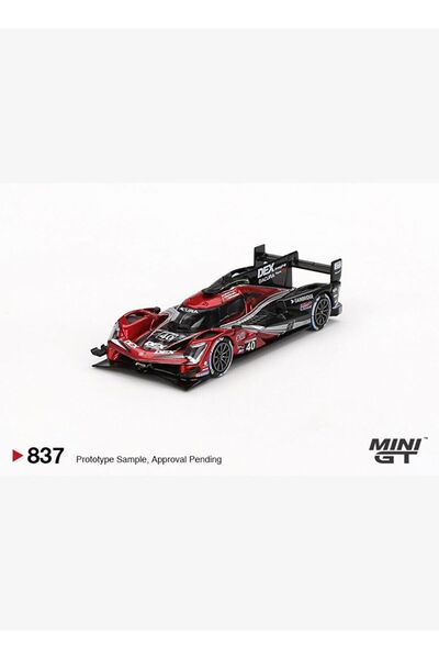 mini gt أكيورا ARX-06 GTP # 40 وين تايلور ريسينج مع أندريتي 2024 الفائز في سب...
