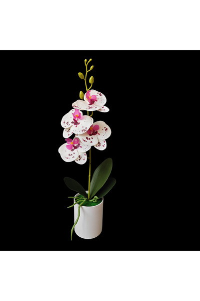 Choice4 Spot white 4 flower simulated orchid potted plants suitable for bedro...