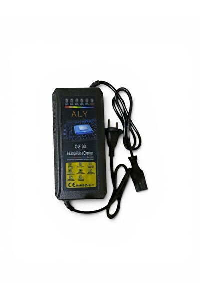 Aly 72 volt 20 ah jel akü şarj cihazı