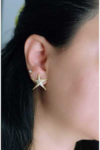 shop 316L Steel Starfish Figured Gold Color Women's Earrings – Stylish Summer...