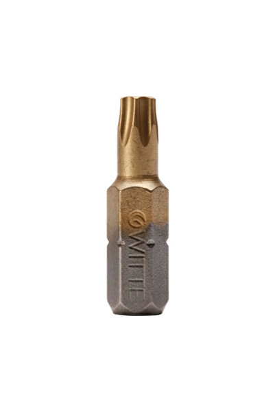 OEM Biți șurubelniță torx Witte Titan 1/4 T10 25mm, pachet 2 bucăți