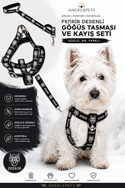 Angelapets Dog Chest Harness and Walking Strap Set