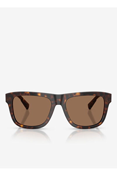 Dolce&Gabbana Dolce & Gabbana Brown Men's Sunglasses 0Dg454555502