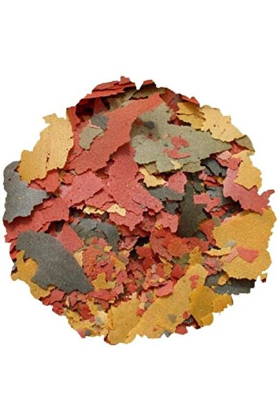 Tetra Tetramin Pul Yem 100 Gram Temel Pul Yem