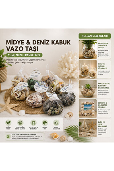 Epilons Decorative Vase Stone - Mussel Shell - Meshed Rkli Mix