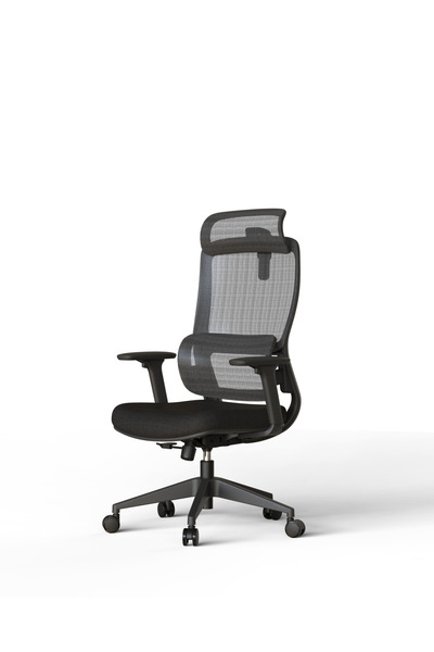 REİNART TRİO SİYAH ERGONOMİK YÖNETİCİ OFİS KOLTUĞU - FİLELİ İTHAL ÜRÜN