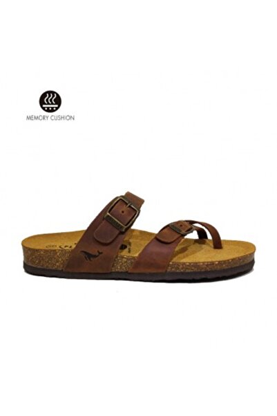 PLAKTON 181032 Apure Roble