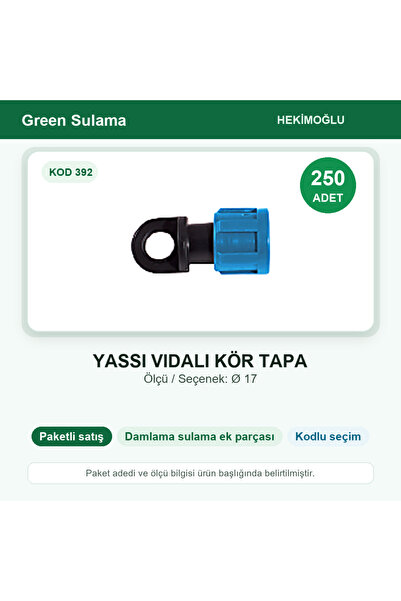 HEKİMOĞLU Flat Screw Blind Plug Ø 17 250 Pieces Package Code 392
