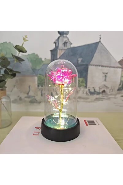 Choice1 Colorful Pink Christmas Decoration Eternal Flower Gift Rose Party Gif...
