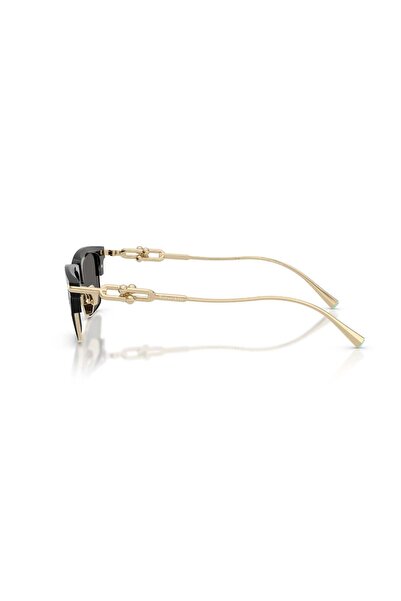 Tiffany&Co Tiffany & Co. 0TF 4262K 8001S4 54 Unisex Güneş Gözlüğü