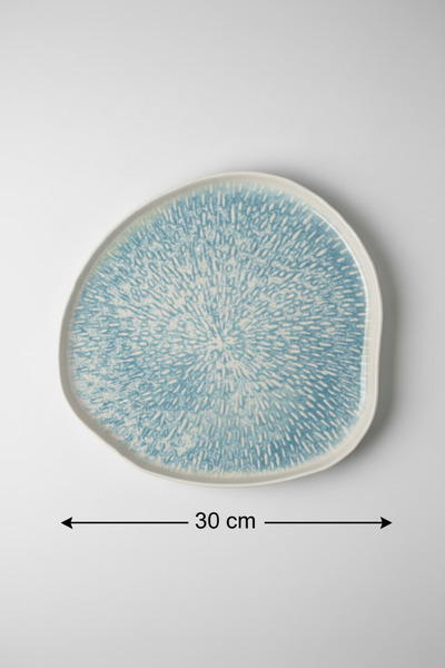 rinart 6-Piece Organic Serving Plate 30cm Digital Asel