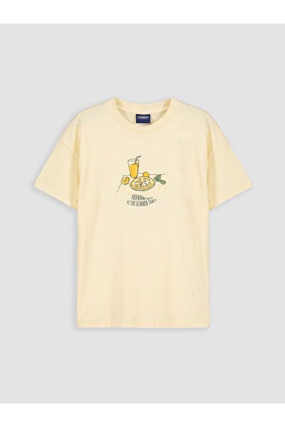 LC Waikiki Crew Neck Printed Boy's T-Shirt