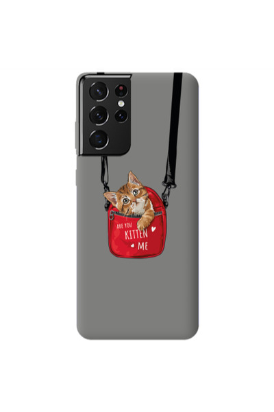 Other Samsung S21 Ultra Are you kitten Grey Colored Silicone TPU Θήκη