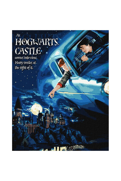 ideyka Set pentru pictura pe numere Harry Potter Zbor cu masina, panza numero...