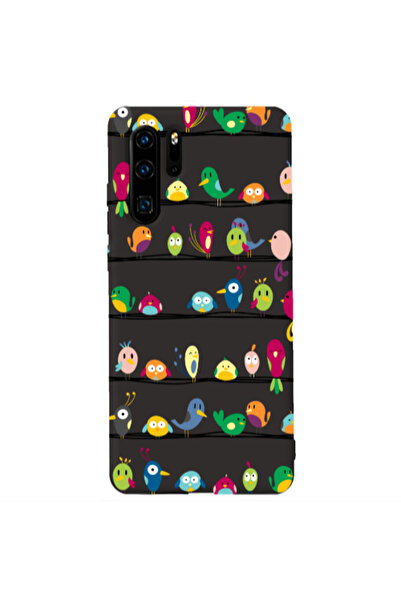 Other Huawei P30 Pro birds Black Colored Silicone TPU Θήκη