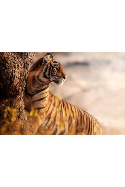 Persona Tablou canvas 100 x 70 cm, Animale model 248