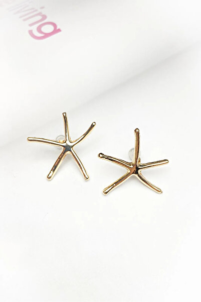 roshel Star Design Gold Color Earrings