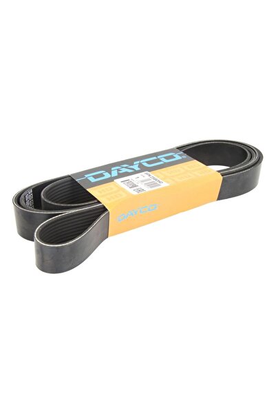 DAYCO Curea Accesorii (9pk2580) Setra 300 Om441.961 09.91-02.02