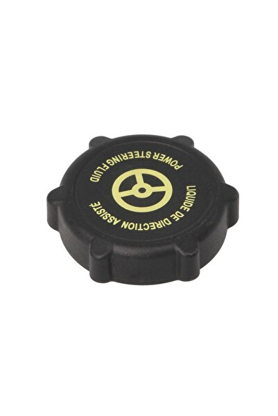 FEBI BILSTEIN Buson Rezervor Servodirectiei Ford C-max Cougar Escort Classic ...