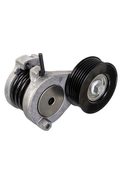 FEBI BILSTEIN Intinzator,curea accesorii Hyundai I20 Active I20 Ii I30 Kia Ce...