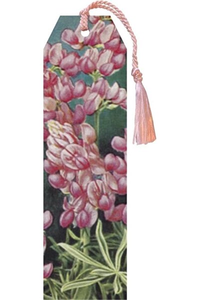 Skona Ting Semn de carte, Tab 79 cu panglica Lupin