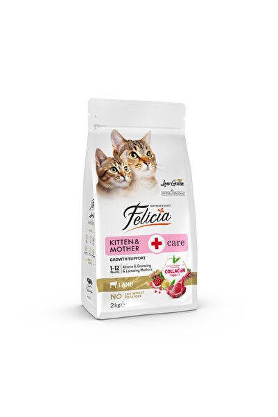 Felicia Kitten & Mother Care Hrană Uscată Hipoalergenică pentru Pisoi și Pisi...