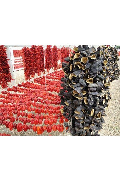 Grow Systems Askılı Kurutma Filesi 4 Raf 60 cm