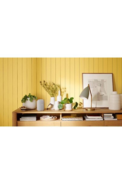Google Nest Audio Alb