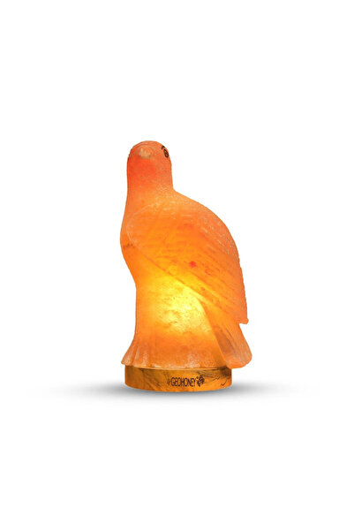 Geohoney Himalayan Salt Lamp