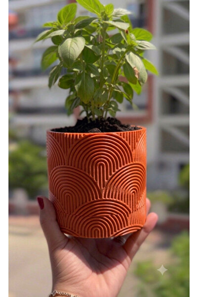 VelmoraLuna Studio3d Modern Geometrik Dalga Desenli 3D Tasarım Saksı Kiremit / Terracotta