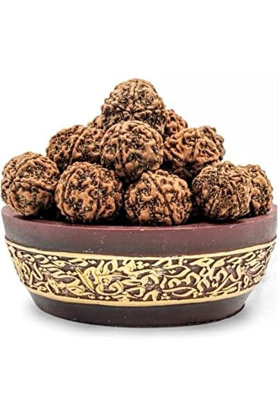 Divine Design 5 Mukhi Rudraksha Beads, 100% Natural, Nepal Origin, Round Shap...