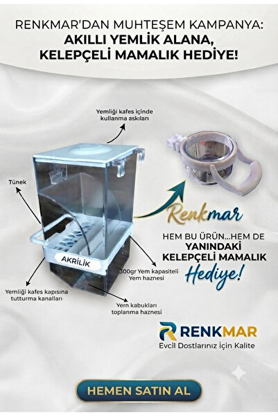 renkmar White Smart Feeder Transparent Acrylic for Lovebirds Canary Parakeet ...