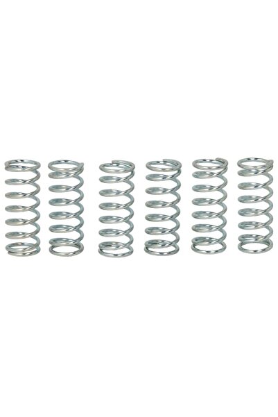 TRW Set Arcuri Ambreiaj (ranforsat) Kawasaki Kfx Ksf Suzuki Dr-z Lt-z 400 200...