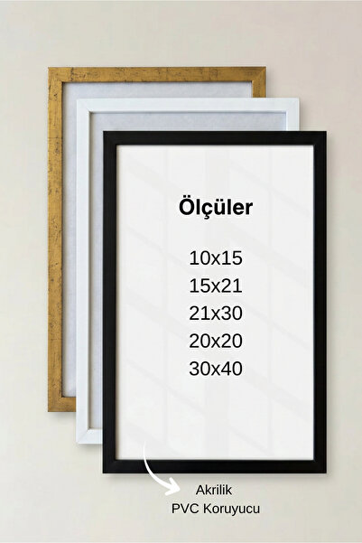 Tooall Decorative Wall Frame Pvc Protected Photo and Poster Frame