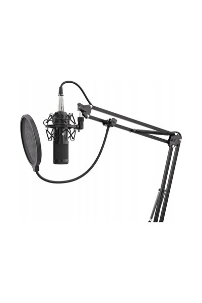 GENESIS ARTS Microfon Genesis Mikrofon Radium 300 Studio Xlr