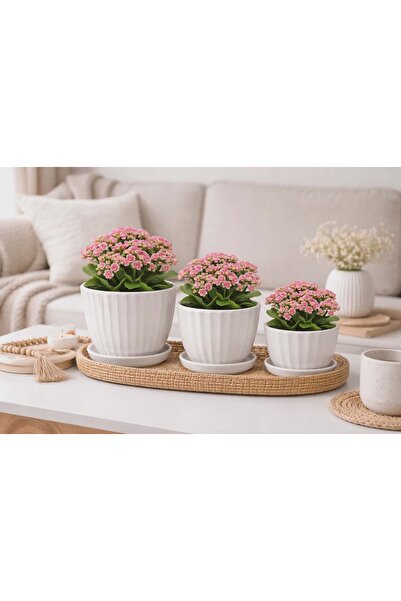 NO BRAND Set de 3 ghivece ceramice pentru plante cu suport, albe, moderne
