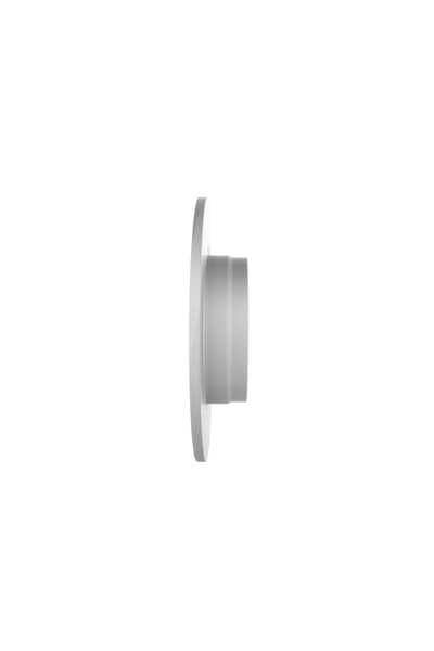 Boschen DISC HAM TYL 300X10 P BOSCH