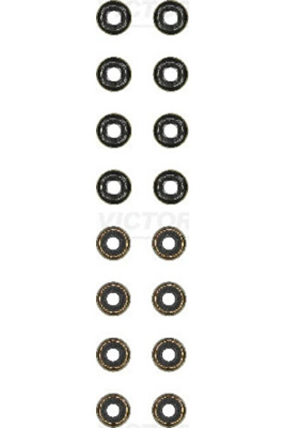 VICTOR REINZ Set Garnituri Ax Supape Audi A3 Seat Ibiza 4/Leon 2012-2024