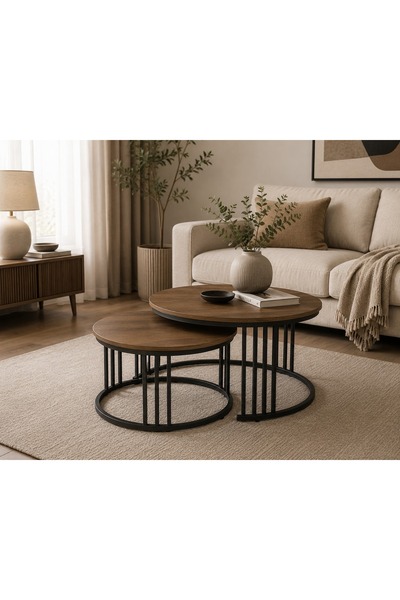 N.zone Modern Luxury Nesting Coffee Table Set with Sleek Marble Top and Sturd...