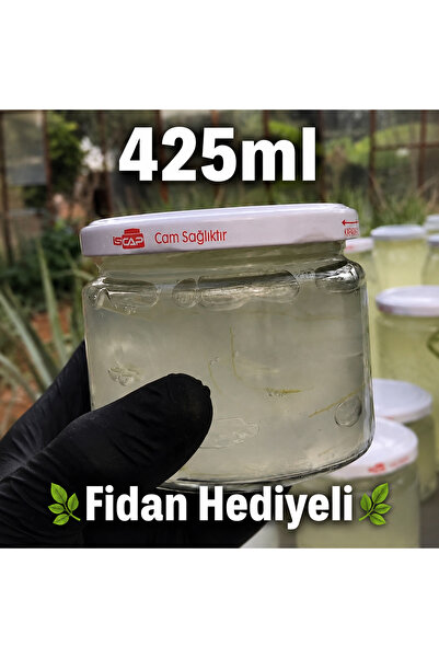 Alovia 425 ml Doğal Saf alovera Jel Taze Aloe Vera Jeli Katkısız Aloe Vera Gel