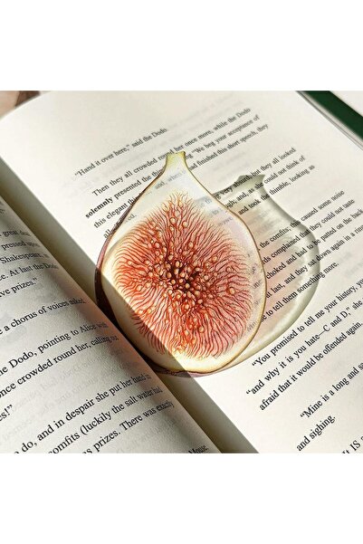 choice2 Fig Creative Fruit Acrylic Bookmark Aesthetic Translucent Watermelon ...