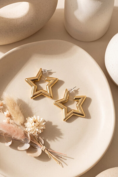 Elika Silver Gold Color Star Figured Earrings